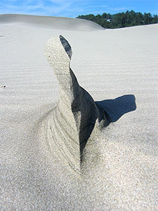 Agate Beach Sculpture