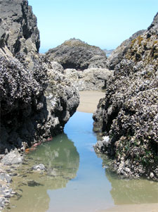 Low Tide